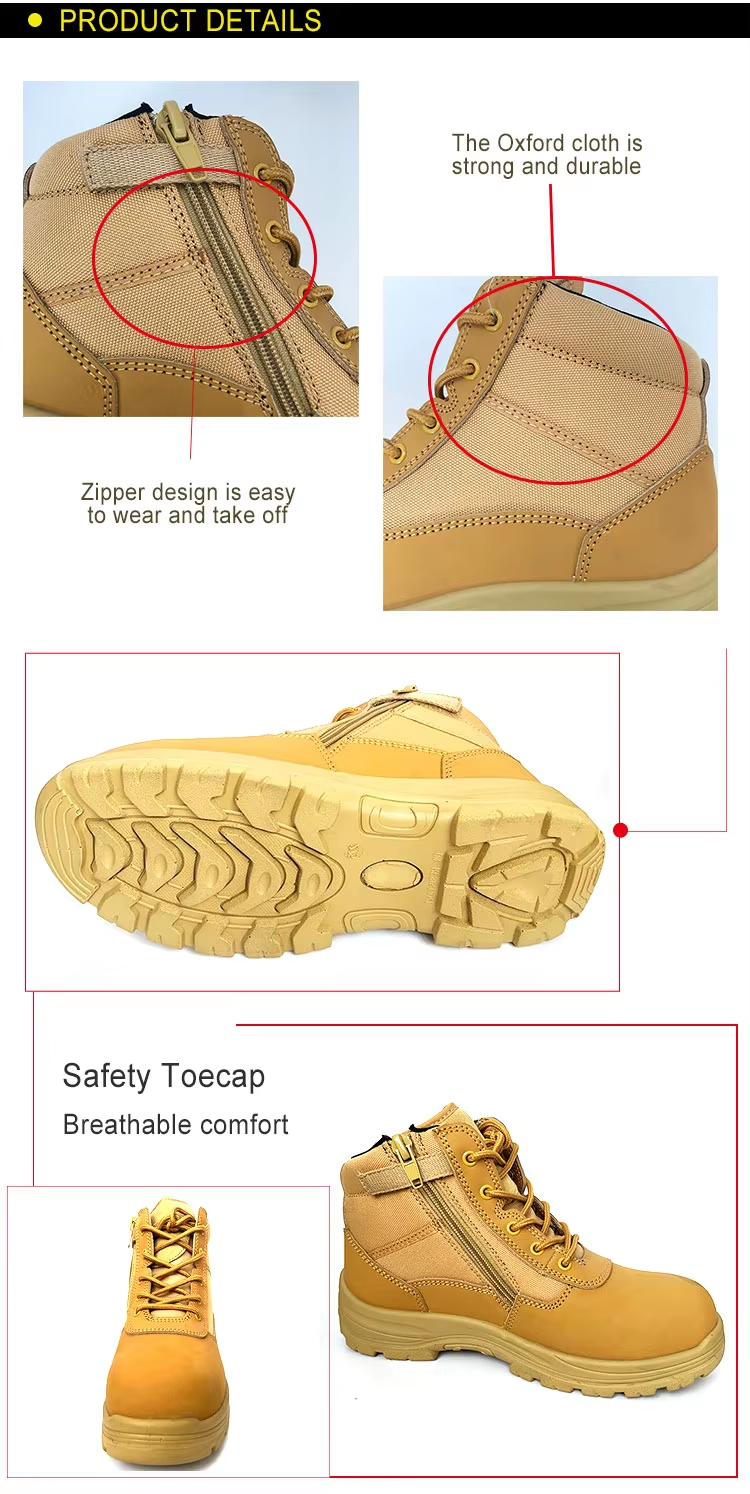 26b3874ae9d4233d7f3bf8f0258f015.png